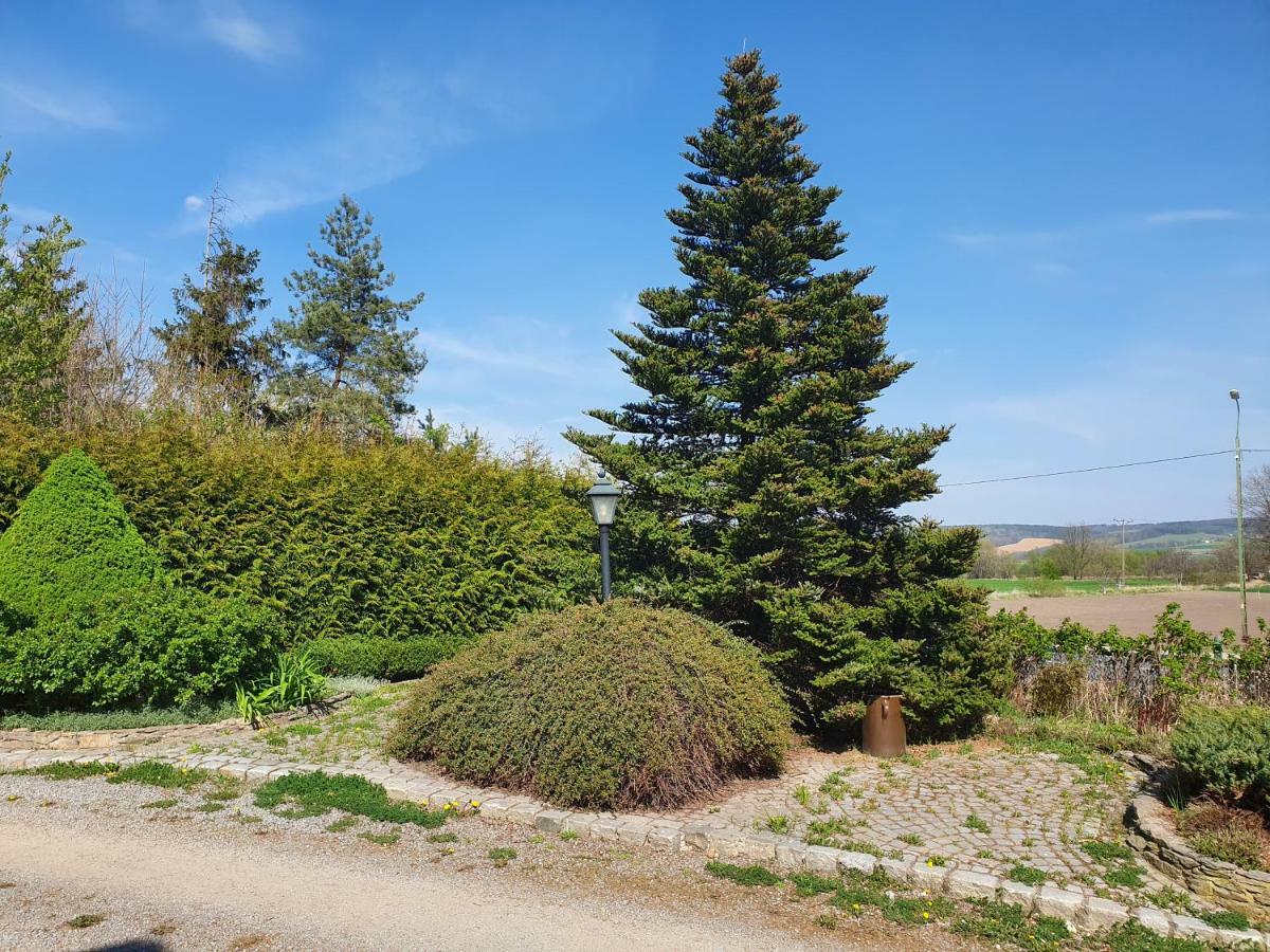 Villa Kliche Przerzeczyn-Zdroj Exterior foto